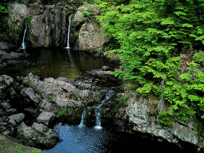Waterfalls in a rocky gorge with lush green trees