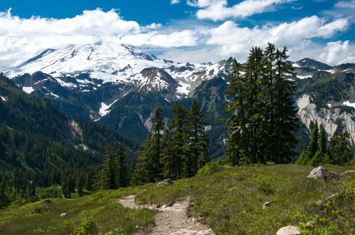 Mount Baker-Snoqualmie National Forest, Washington, USA