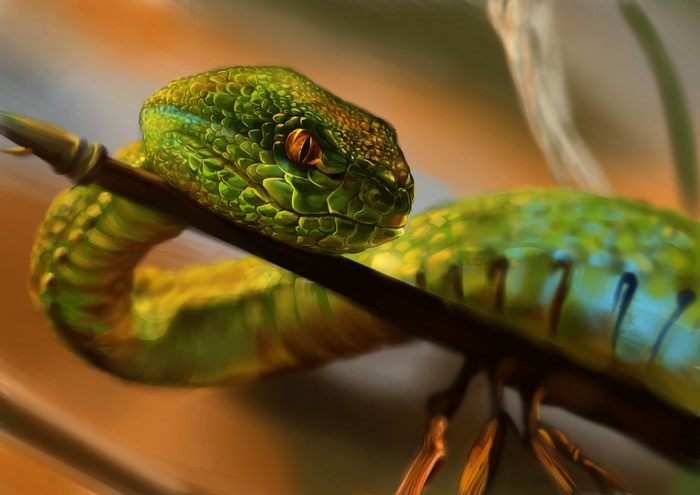 Green snake coiled on a branch