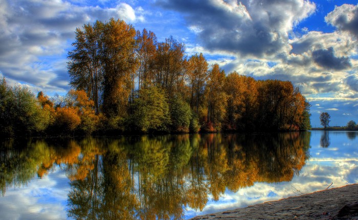 Autumn Trees Reflecting in River Under Cloudy Sky