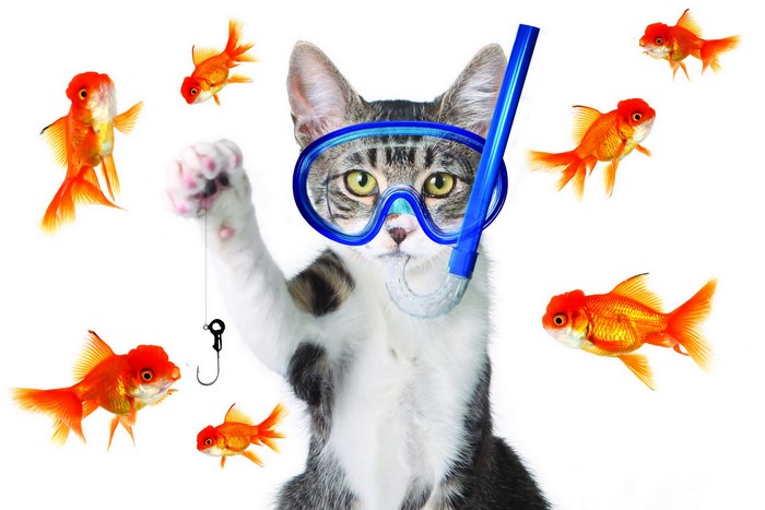 Cat wearing snorkel mask surrounded by goldfish