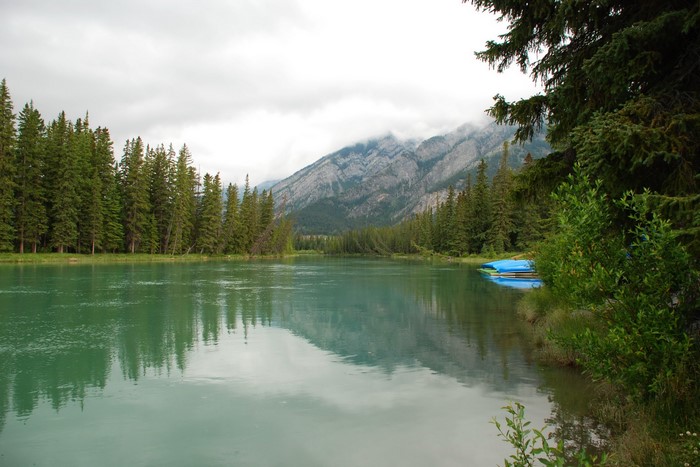 Turquoise river and pine forest with mountains in Banff