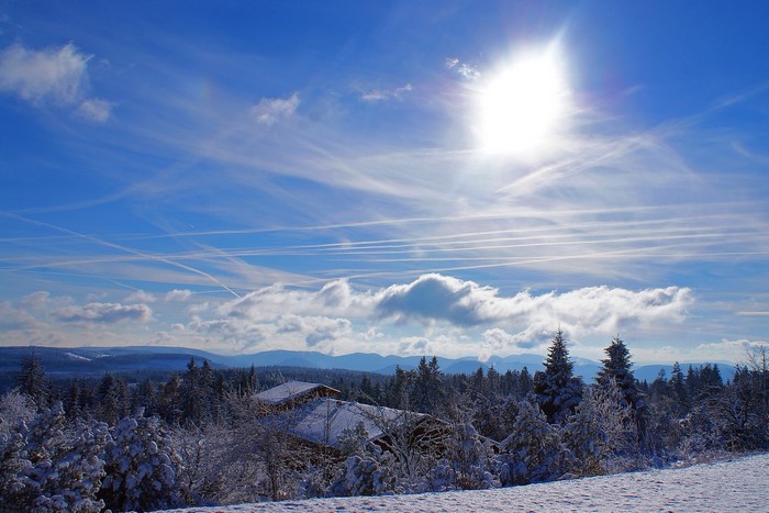 Winter landscape with snow-covered trees and houses under a bright sun