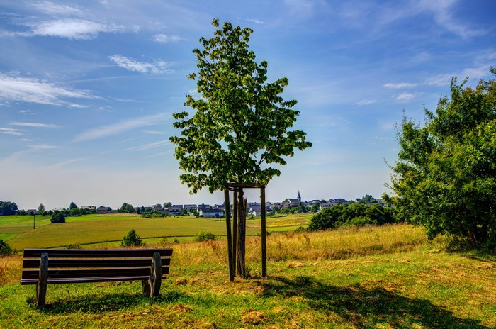 Bench and tree in a German landscape with a village