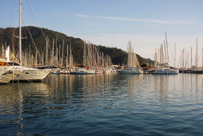 Sailboats docked in a harbor with a forested hill in the background