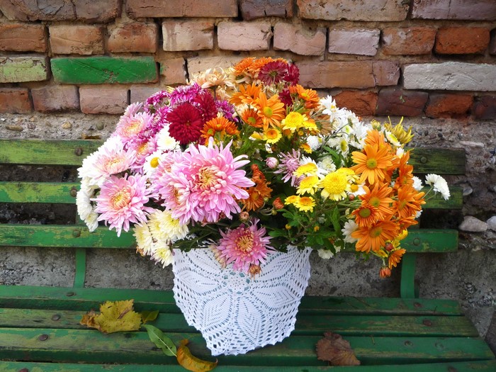 Bouquet of Chrysanthemums on a Green Bench