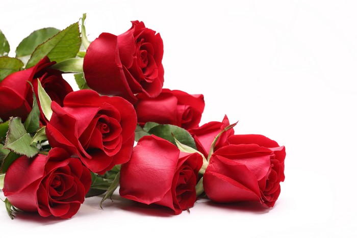 Red Roses