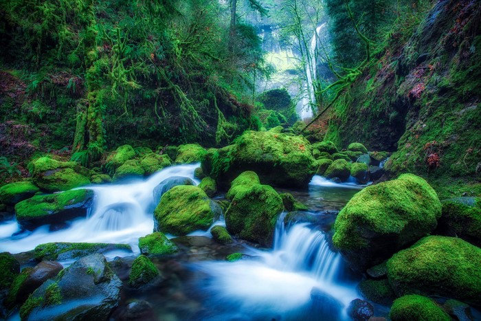 Mossy Rocks and Waterfall in Elowah Falls, Oregon