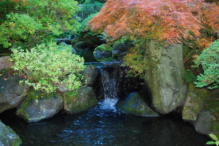 Waterfall in a Japanese Garden with Autumn Foliage