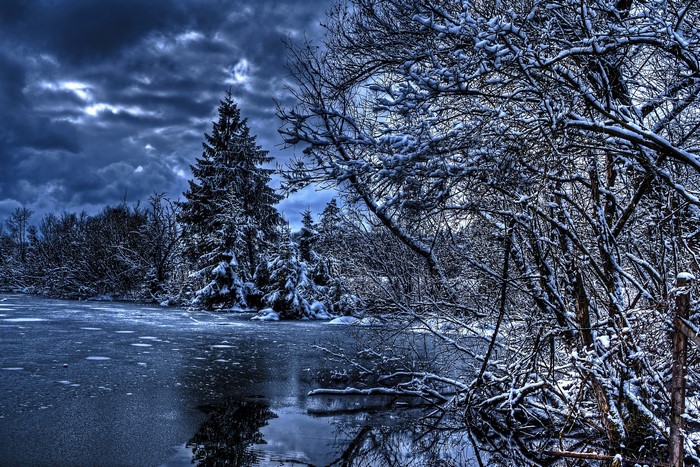 Winter scene with snow-covered trees and frozen water