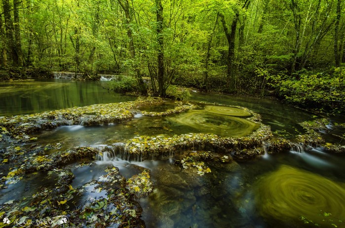 Forest stream with travertine cascades in Franche-Comté, France