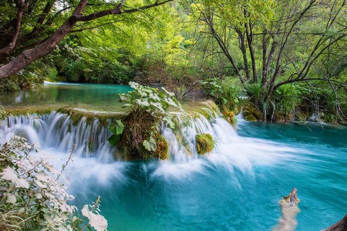 Turquoise waterfalls cascade through a lush green forest