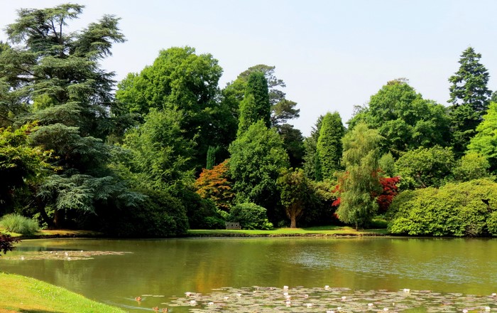Pond and trees in Sheffield, England