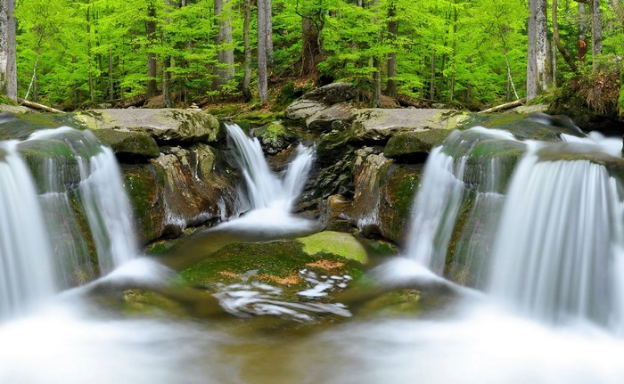 Waterfalls in a lush green forest