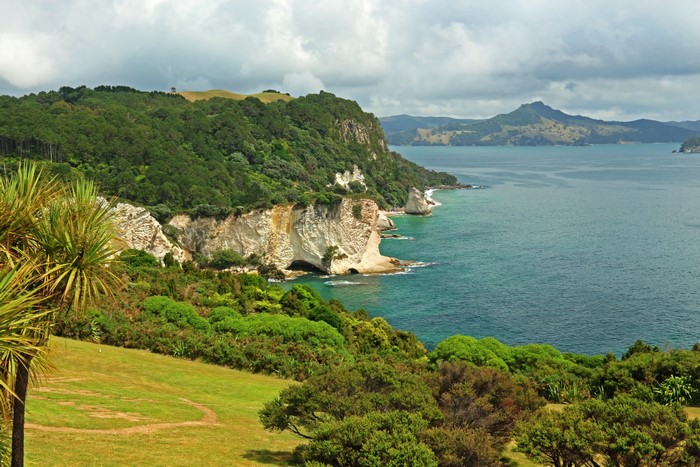 Coastline with cliffs and lush green hills in New Zealand