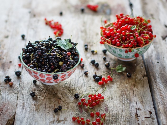 Black and Red Currants in Bowls