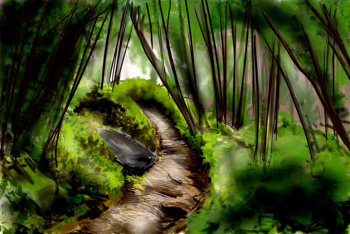 Path through a dense green forest with tall trees