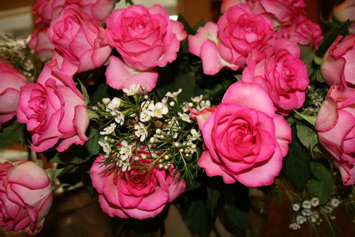 A bouquet of pink roses with small white flowers