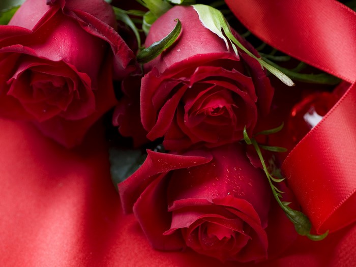 Red Roses with Red Ribbon