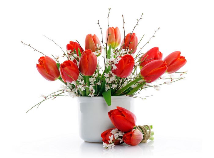 Red Tulips in a White Vase with Twigs