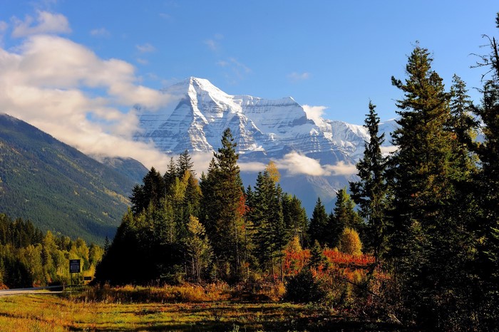 Mount Robson in Canadian Rockies with autumn trees