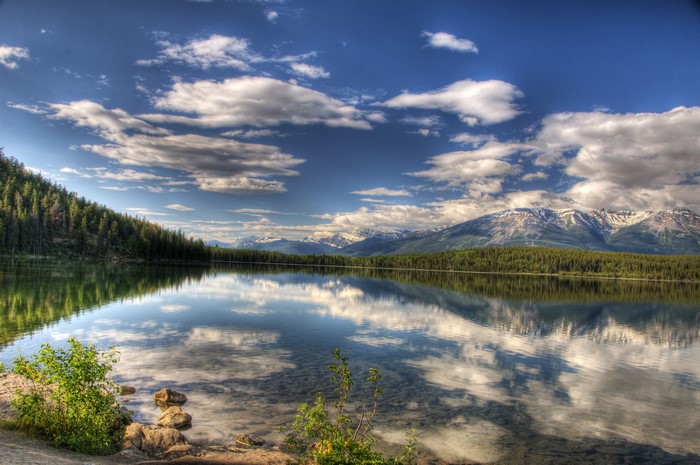 Lake reflection of mountains and forest in Jasper National Park, Canada