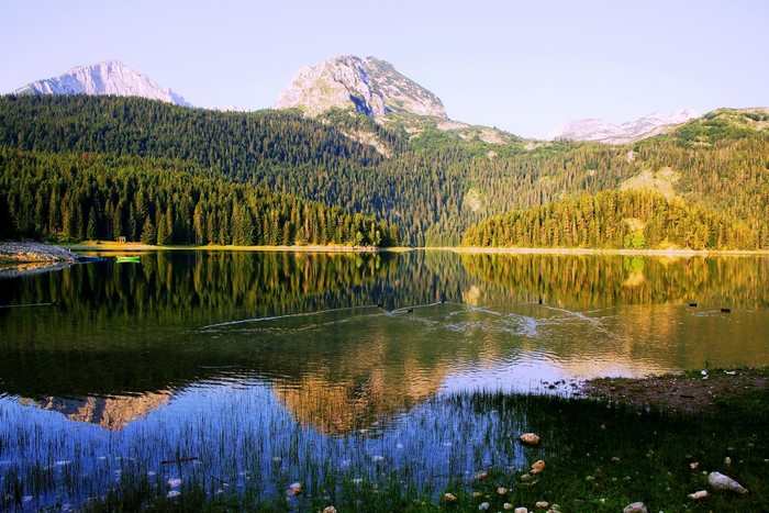 Black Lake, Montenegro, with Mountains and Forest