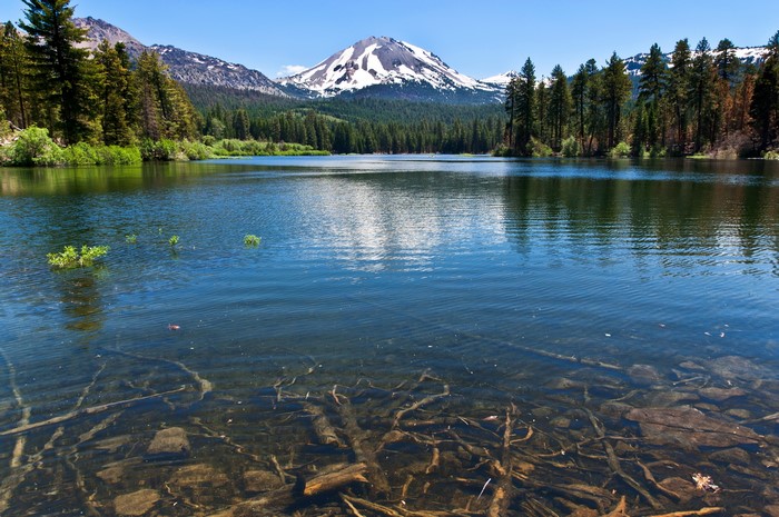 Lake with snow-capped mountains and pine forest