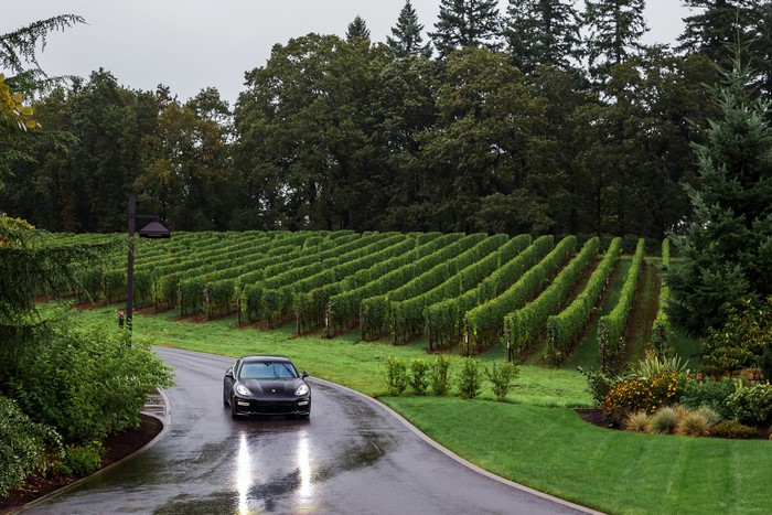 Black Porsche Panamera driving on a wet road through a vineyard