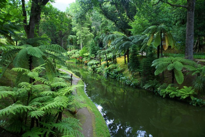 Parque Terra Nostra, Portugal, with a pond and trees