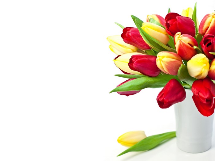 Red and Yellow Tulips in a White Vase