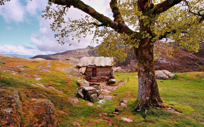 Stone hut and large tree in a rocky landscape