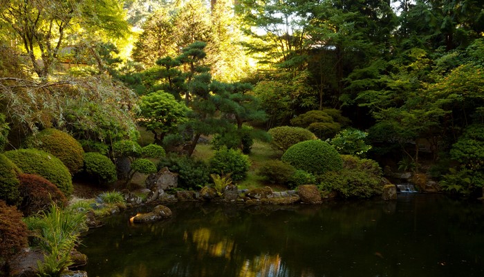 Japanese Garden Pond with Lush Greenery in Portland, Oregon