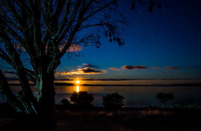 Night scene with moonlit water and silhouetted trees