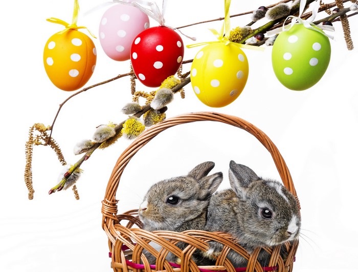 Easter bunnies in a basket with decorated eggs