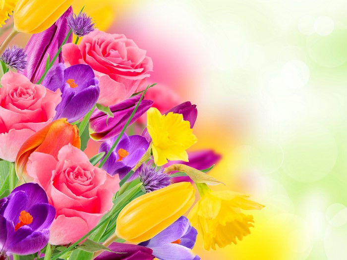 Roses, Crocuses, Daffodils, and Tulips