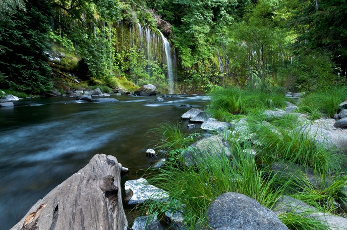 Waterfall flowing into a river in a forest