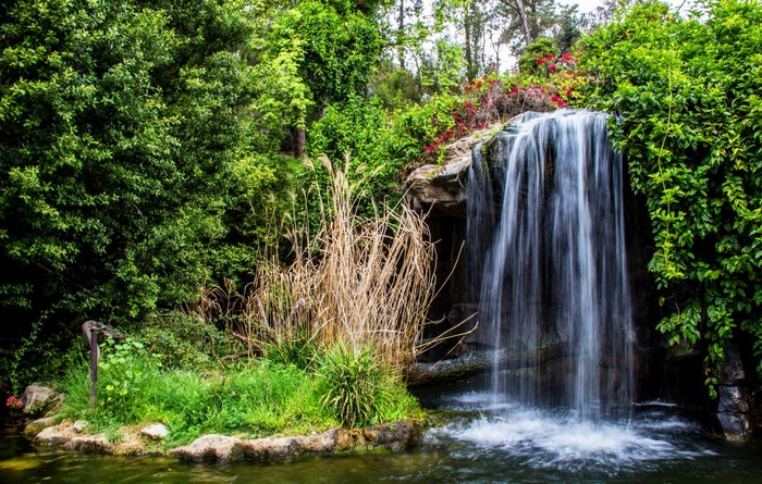 Waterfall in a lush green garden in California