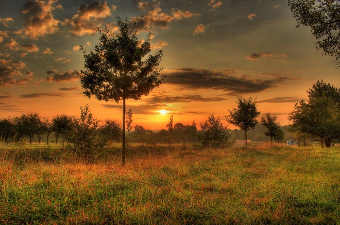 Sunset over a grassy field with trees in Hungen, Germany
