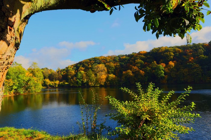 Lake and autumn forest in Ulmen, Germany