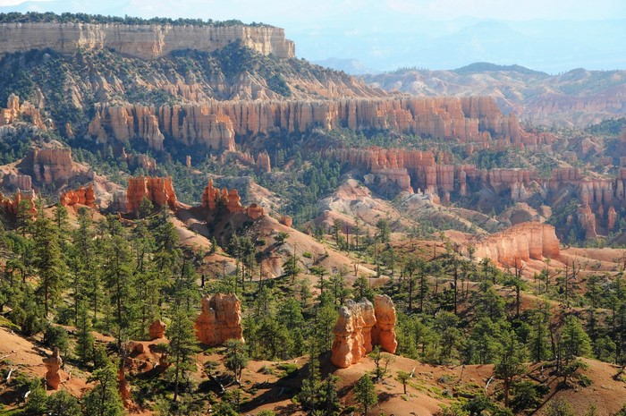 Bryce Canyon National Park with Hoodoos and Pine Trees