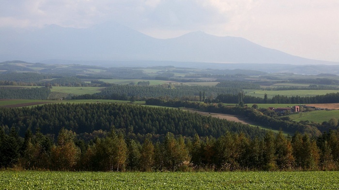 Rolling hills with forests and mountains in the distance