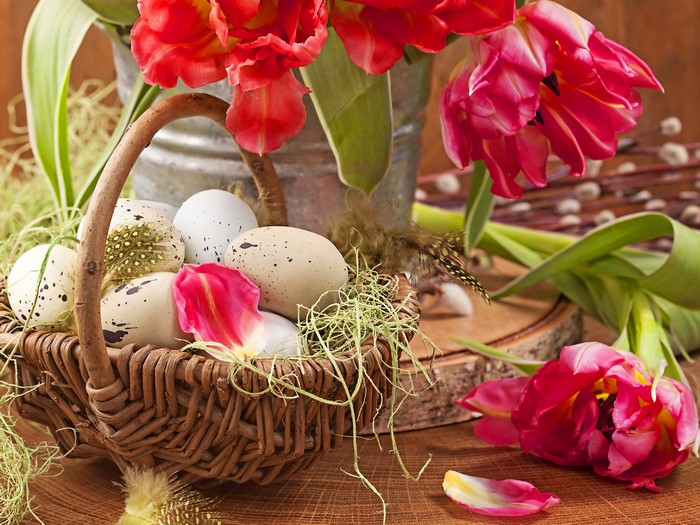 Easter eggs in a wicker basket with tulips