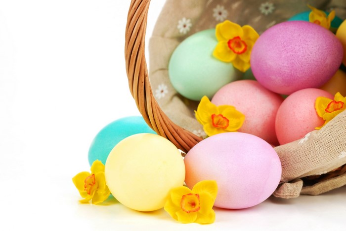 Easter eggs in a wicker basket with daffodils