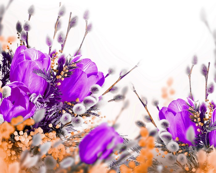 Purple Tulips and Pussy Willows