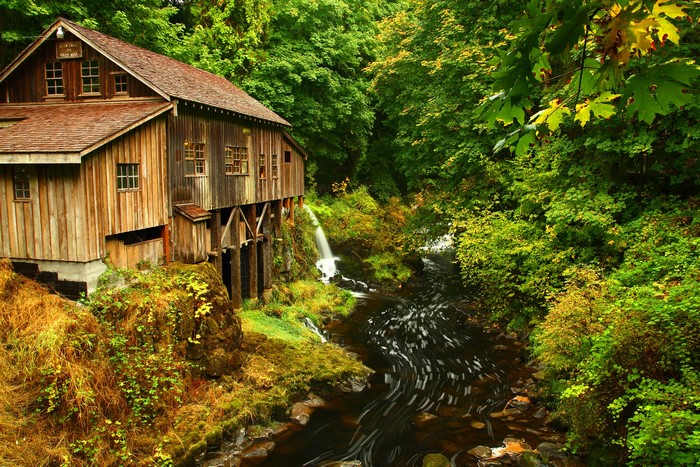 Old wooden mill beside a stream in a forest