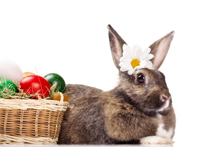 Easter Bunny with Decorated Eggs in Wicker Basket