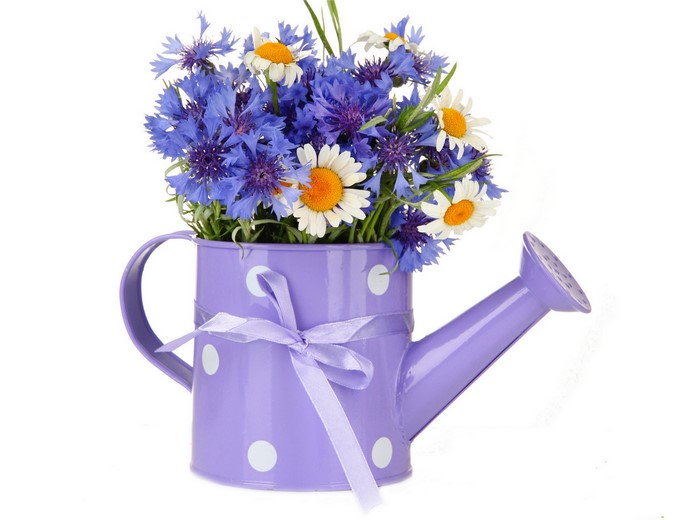 Purple watering can with cornflowers and daisies