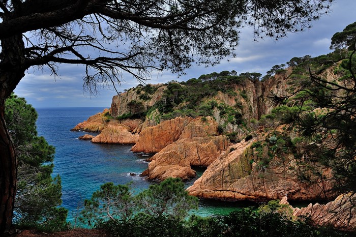 Rocky coast of Catalonia, Spain