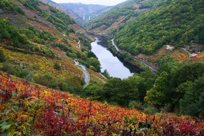 River valley with vineyards in autumn colors, Spain